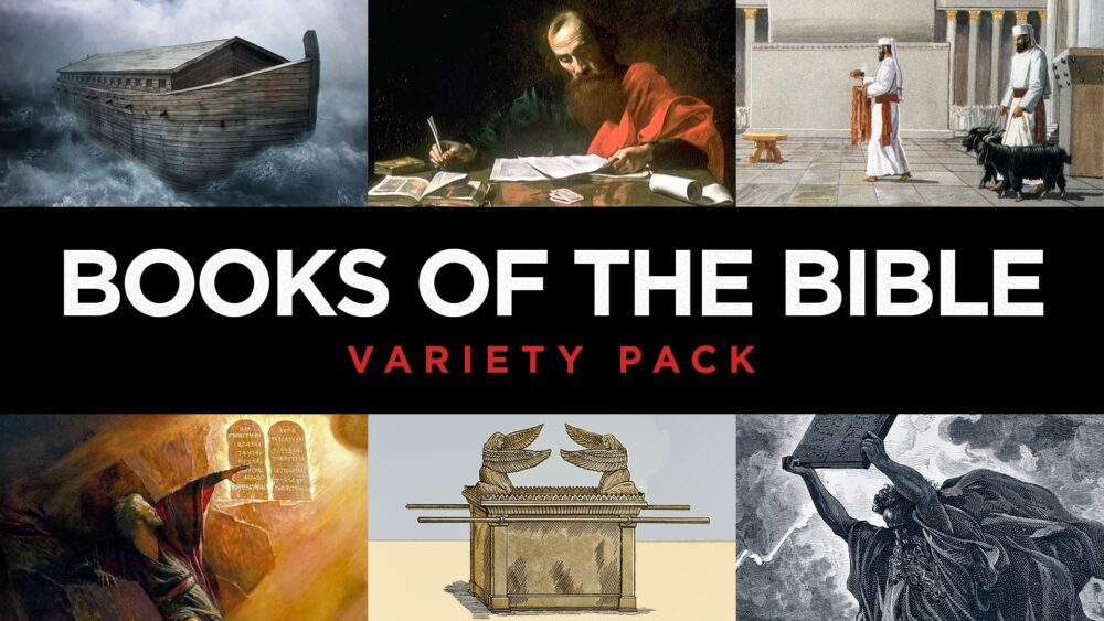 Paquete variado de 00 libros de la Biblia
