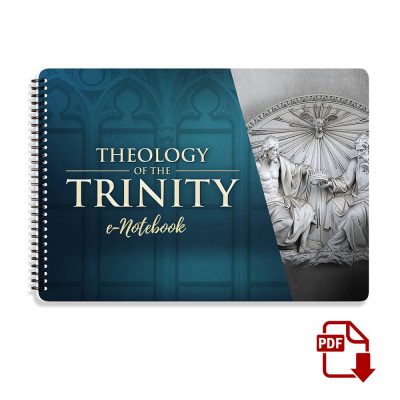E Notebook Theology of the Trinity v1