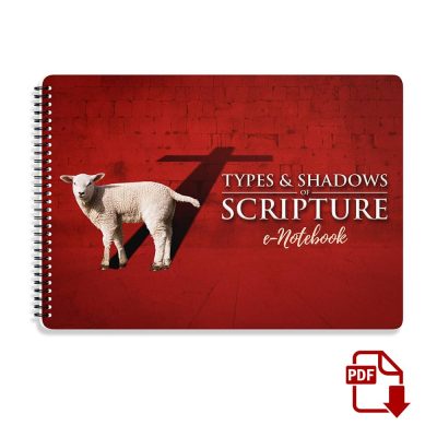 E Notebook Types and Shadows of Scripture v1