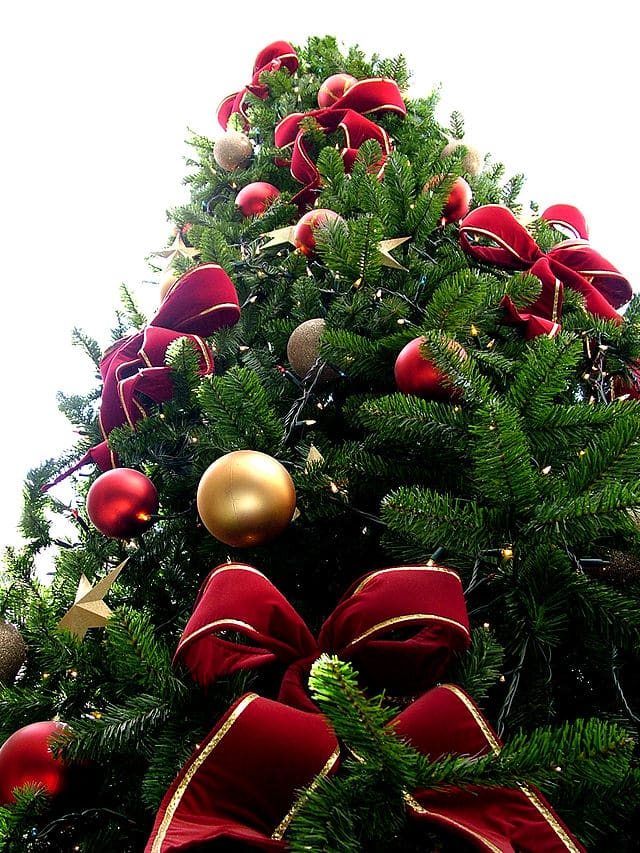 640px Christmas tree sxc hu