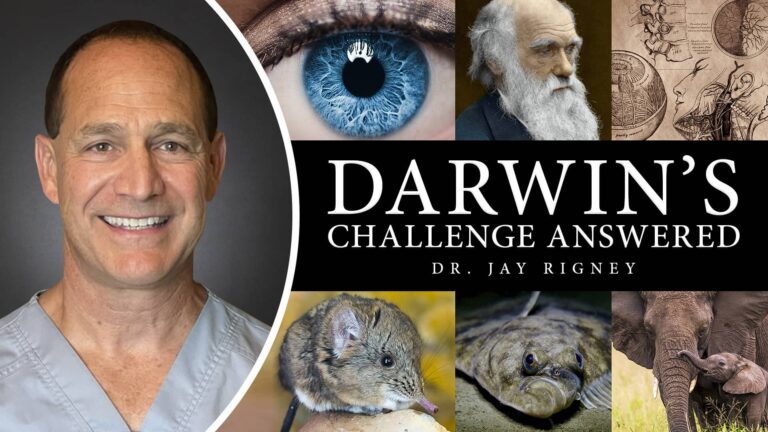 Actualización de la miniatura del desafío de Darwin respondido v2