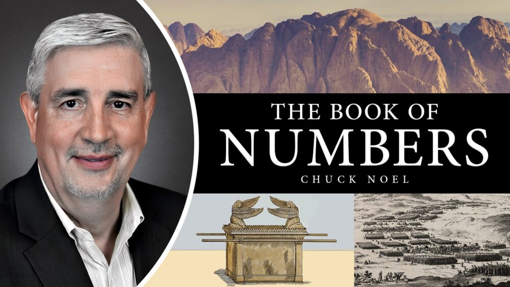The Book of Numbers Thumbnail v2 Update min