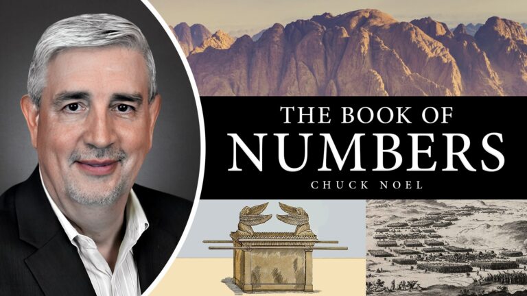 El Libro de los Números Miniatura v2 Actualización min