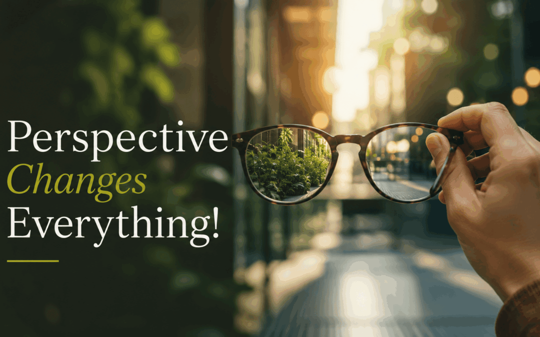 Perspective Changes Everything!
