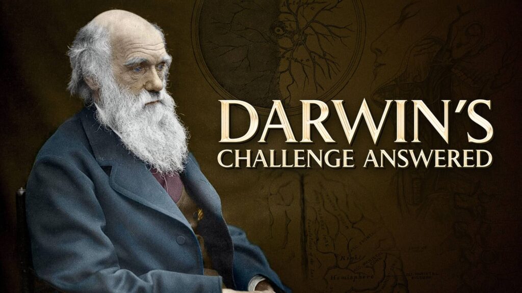 Darwin's Challenge Answered