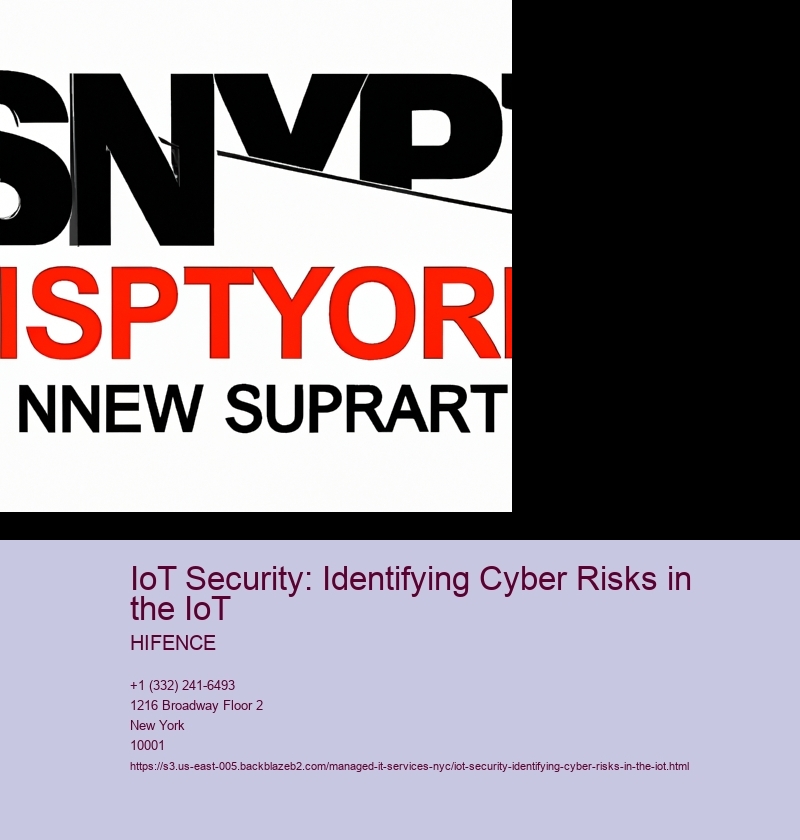 IoT Security: Identifying Cyber Risks in the IoT
