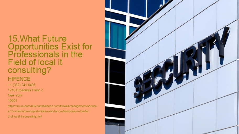 15.What Future Opportunities Exist for Professionals in the Field of local it consulting?