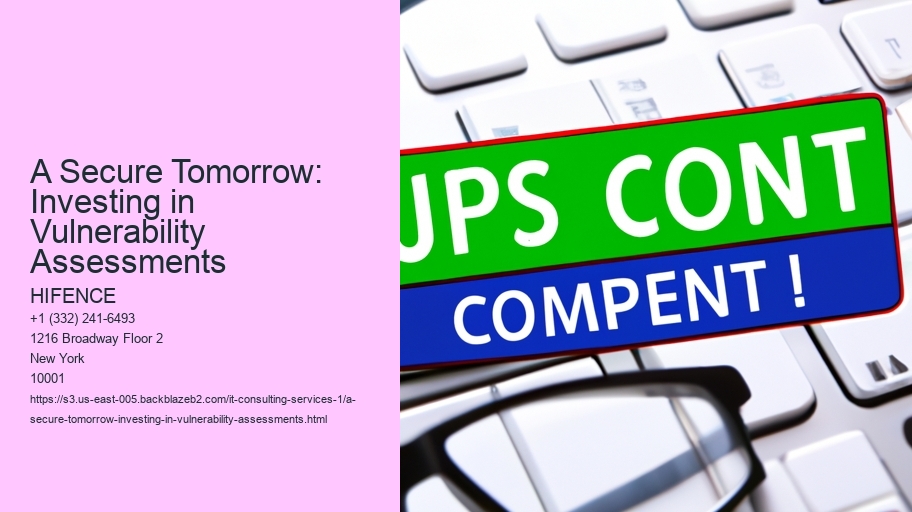 A Secure Tomorrow: Investing in Vulnerability Assessments