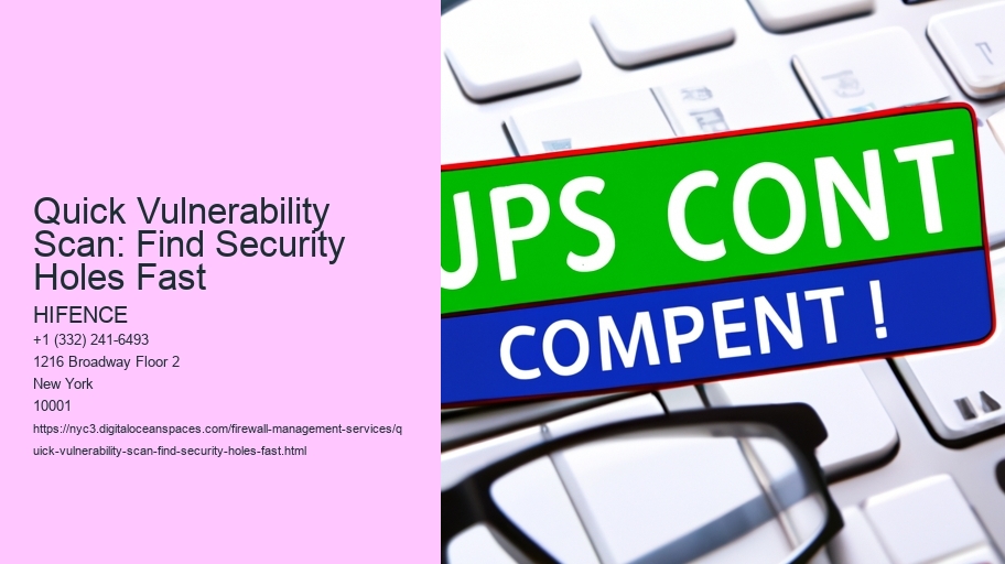 Quick Vulnerability Scan: Find Security Holes Fast