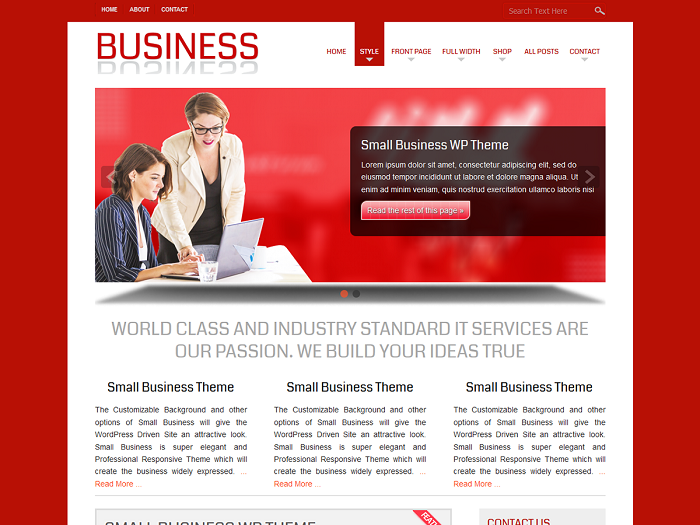 Do professional web designers use WordPress