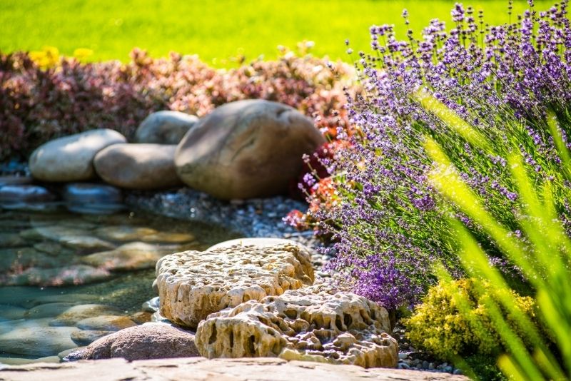 local landscaping companies