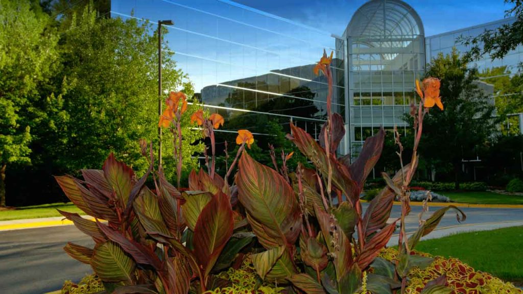 landscape architect tamworth