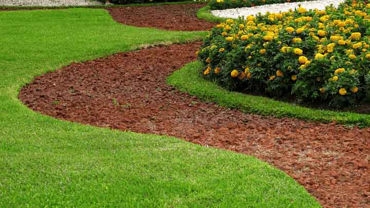 modern backyard landscaping