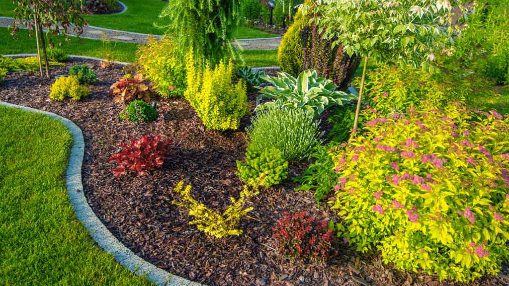 gardening and lawn mowing services