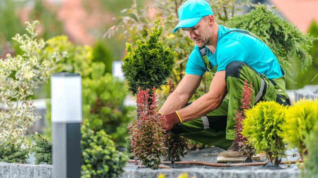 black garden edging