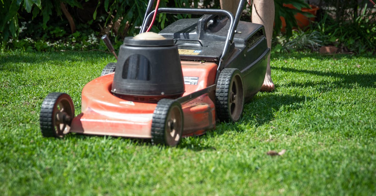 Lawn Care