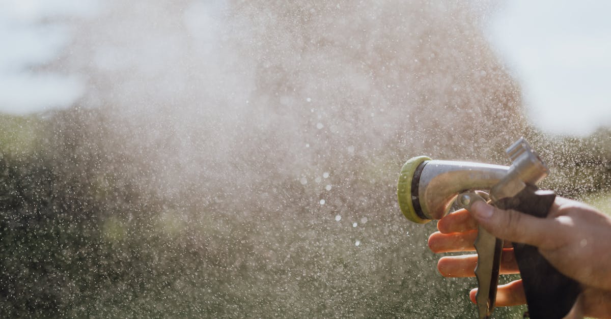 Lawn Maintenance in Chandler