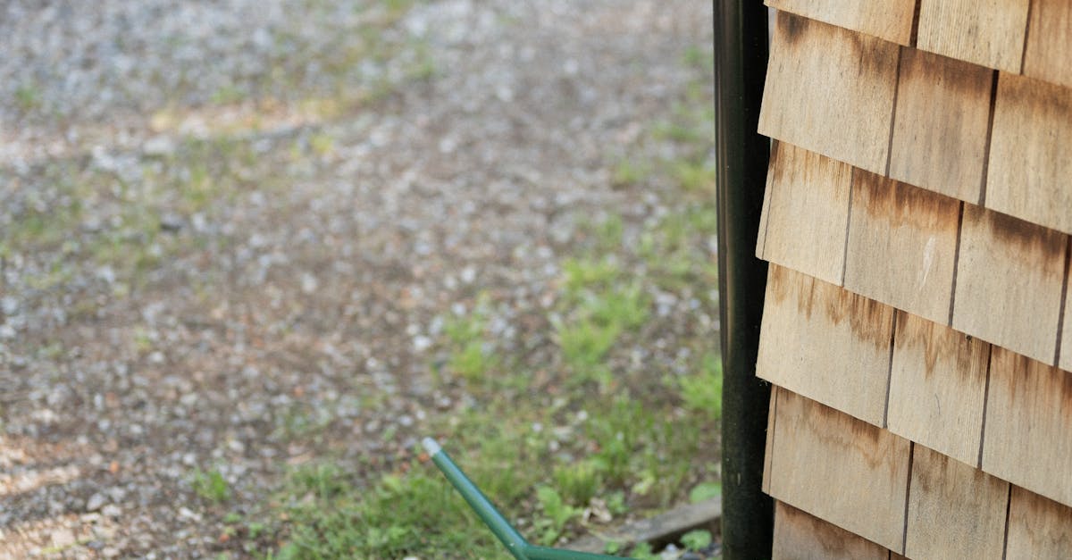 Lawn Maintenance in Chandler