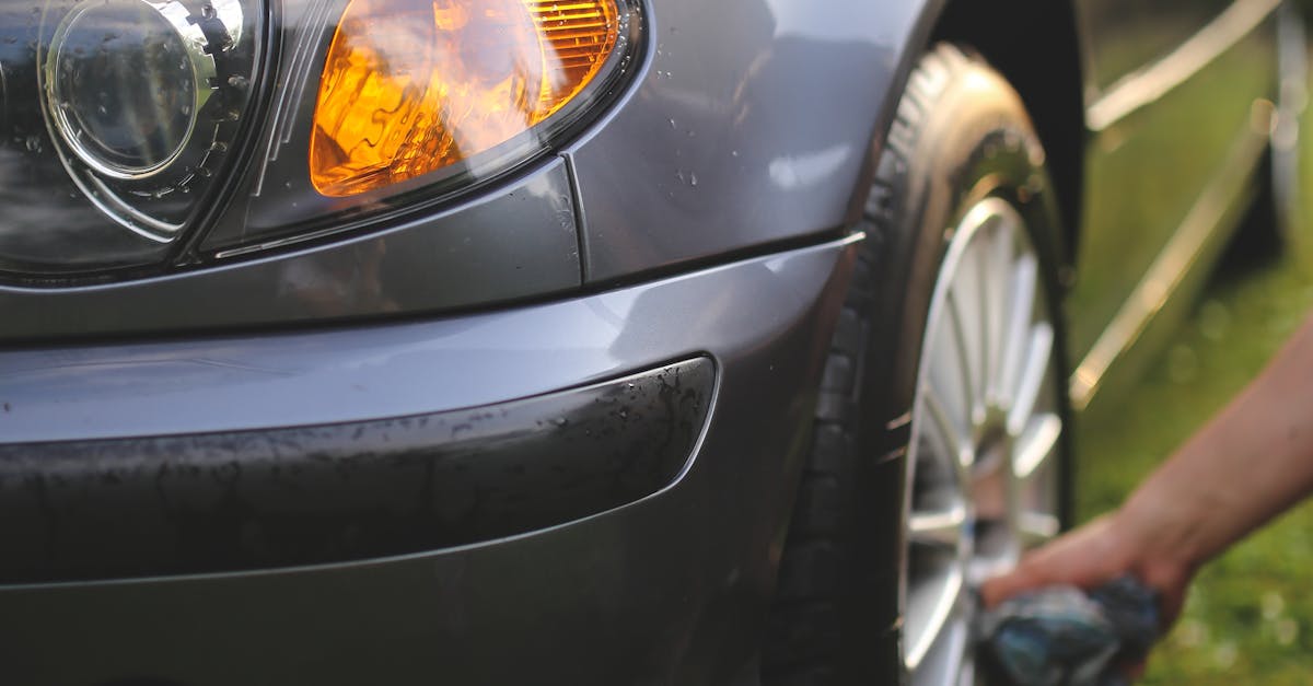 Lawn Maintenance in Scottsdale