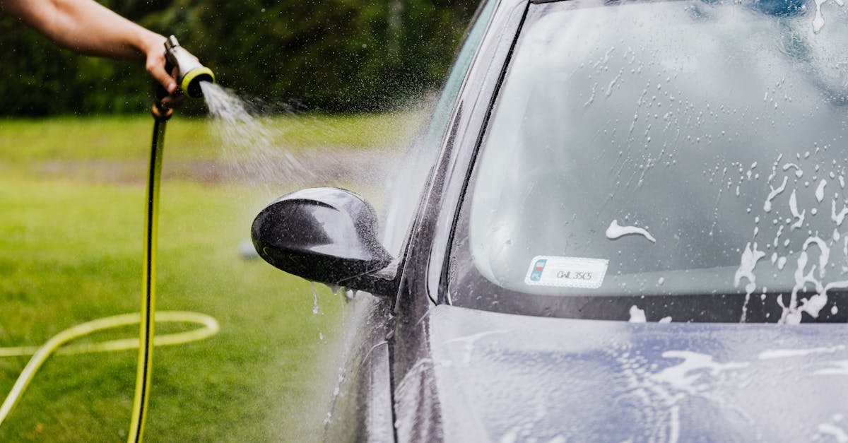 Scottsdale's Lawn Care Services