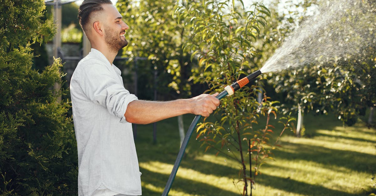 Care for Lawns in Scottsdale