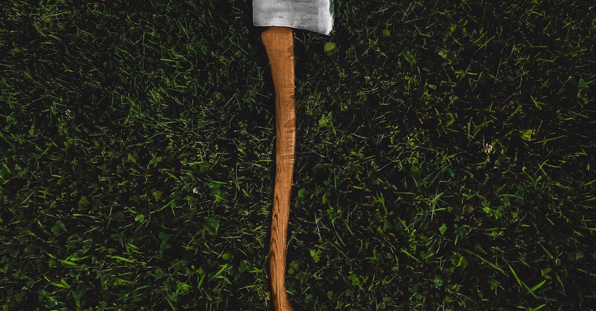 Scottsdale's Lawn Care Services