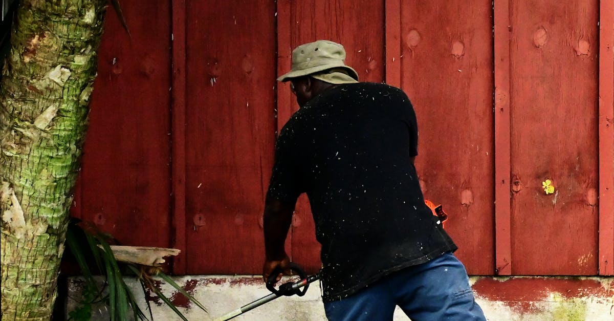 Scottsdale Lawn Care