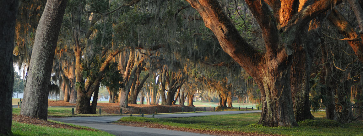 Atlanta Accident Attorneys