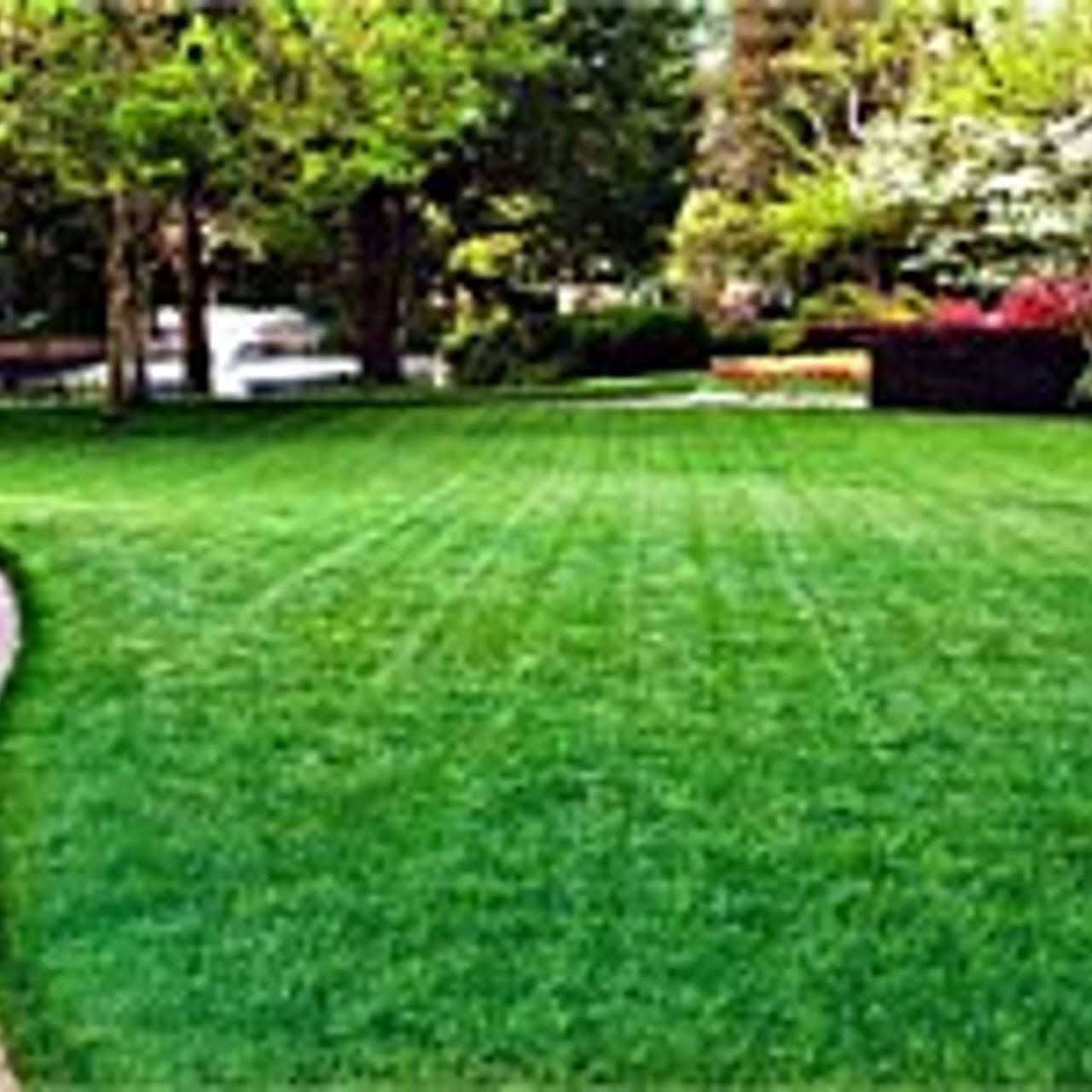 Leeds Tree Service Llc San Antonio Tx