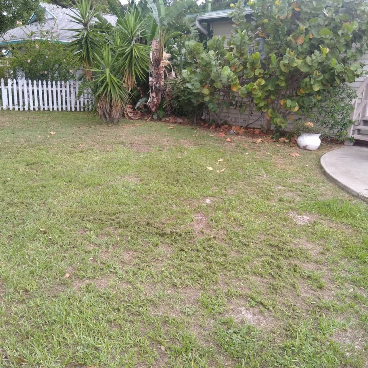 Leeds Tree Service Llc Email