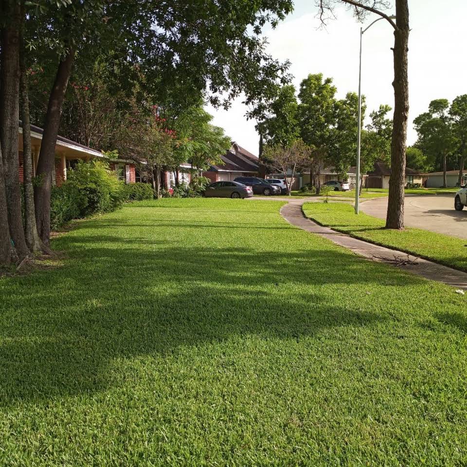 Leeds Tree Service Llc Ein Number