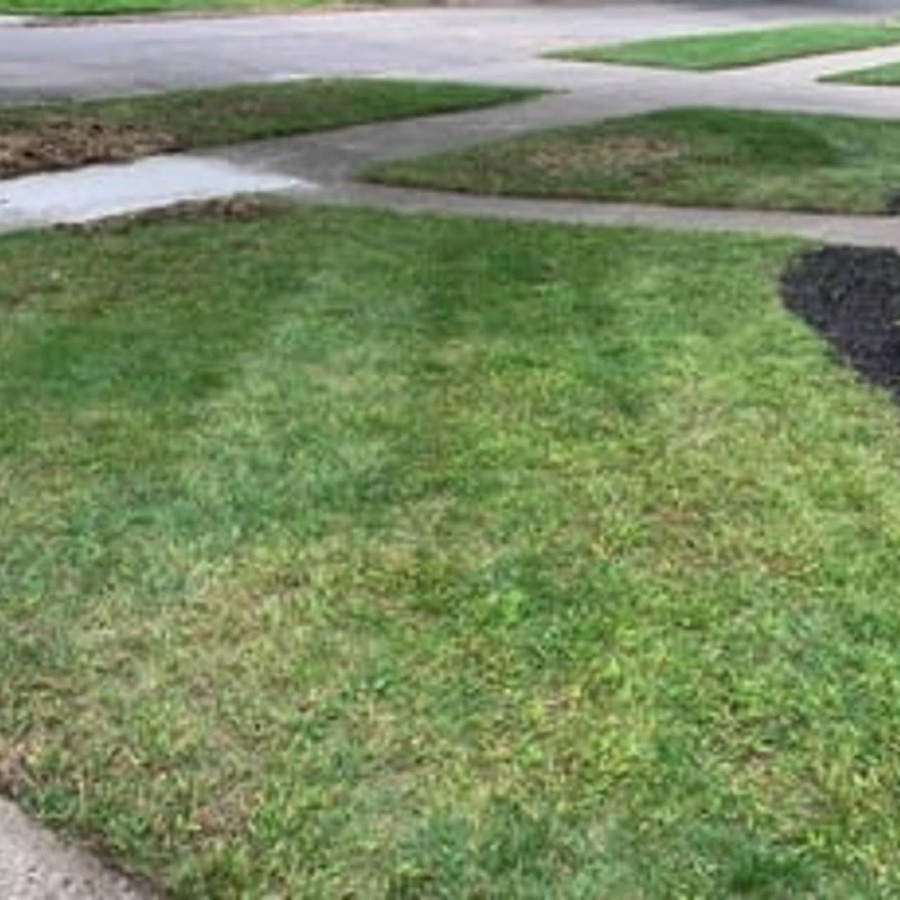 Leeds Tree Service Llc 100