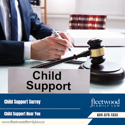 Best Family Lawyer Surrey Family Court Representation