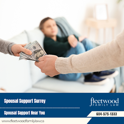 Family law practice Surrey family legal services