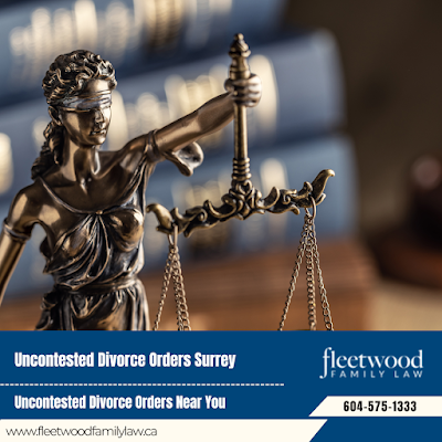 Spousal Support Lawyers Child Visitation Rights Surrey