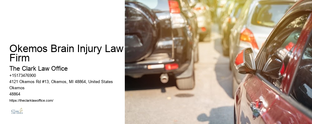 Okemos Brain Injury Law Firm