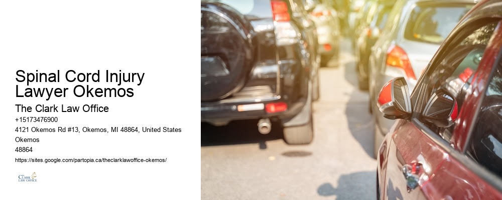 Spinal Cord Injury Lawyer Okemos