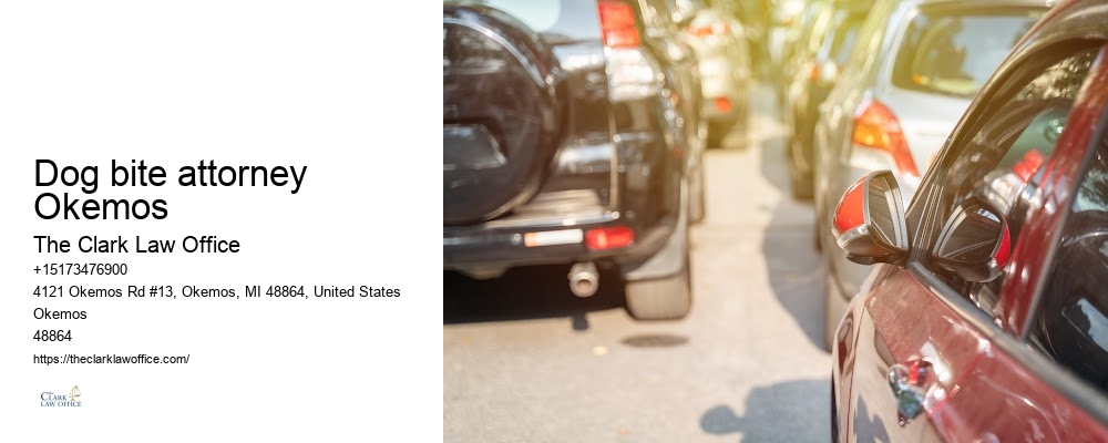 Dog bite attorney Okemos