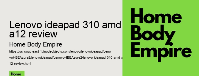 lenovo ideapad 310 amd a12 review