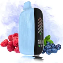 Waka Degustacion Vaper Desechable Nova 22000PUFFS Guava Raspberry Ice