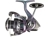 Daiwa Molinete Regal LT 3000D-CXH 6ROL 6.2:1