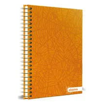 Caderno Universitário Alamo