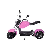Moto Eletrica Iz Y21-60V/12AH-2000W-Pink