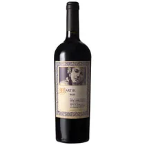 Vinho Lorenzo de Agrelo Mártir Malbec 2019 - 750ML