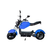 Moto Eletrica Iz Y21-60V/12AH-2000W-Blue