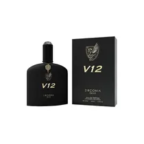 Perfume Masculino Zirconia V-12 Edp 100ML
