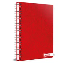 Caderno Universitário Alamo Rojo