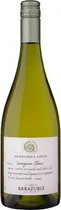 Vinho Errazuriz Aconcagua Costa Sauvignon Blanc 2023
