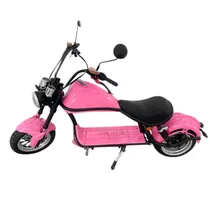 Motocicleta Elétrica Iz Y3 - 1500W - 25KM/H - Pink