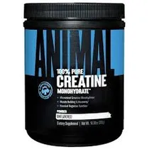 Universal Nutrition Animal Creatine Power 300GR